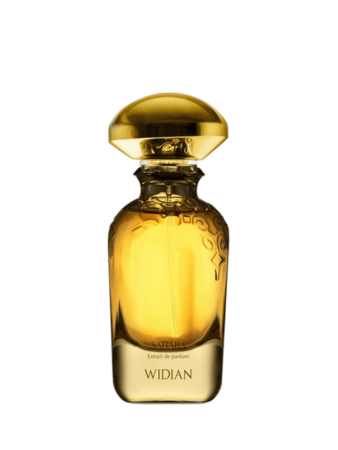 SAHARA WIDIAN